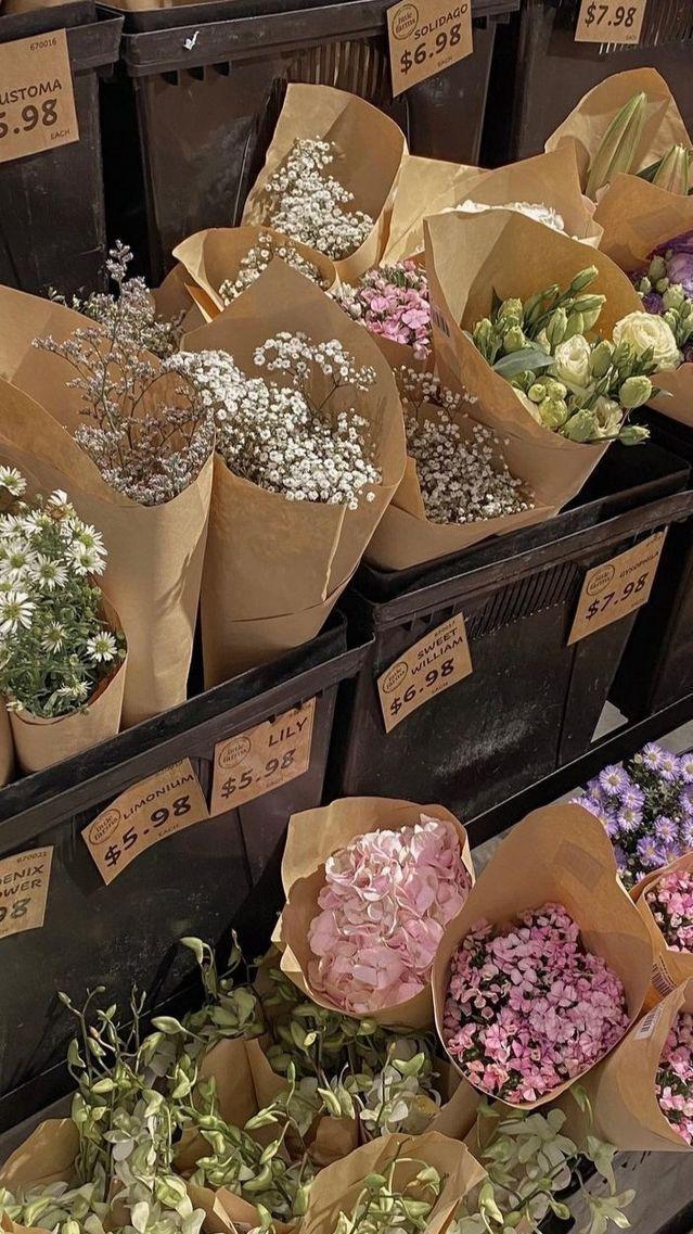 Celestial Blooms: Starlit Flora Elegance
