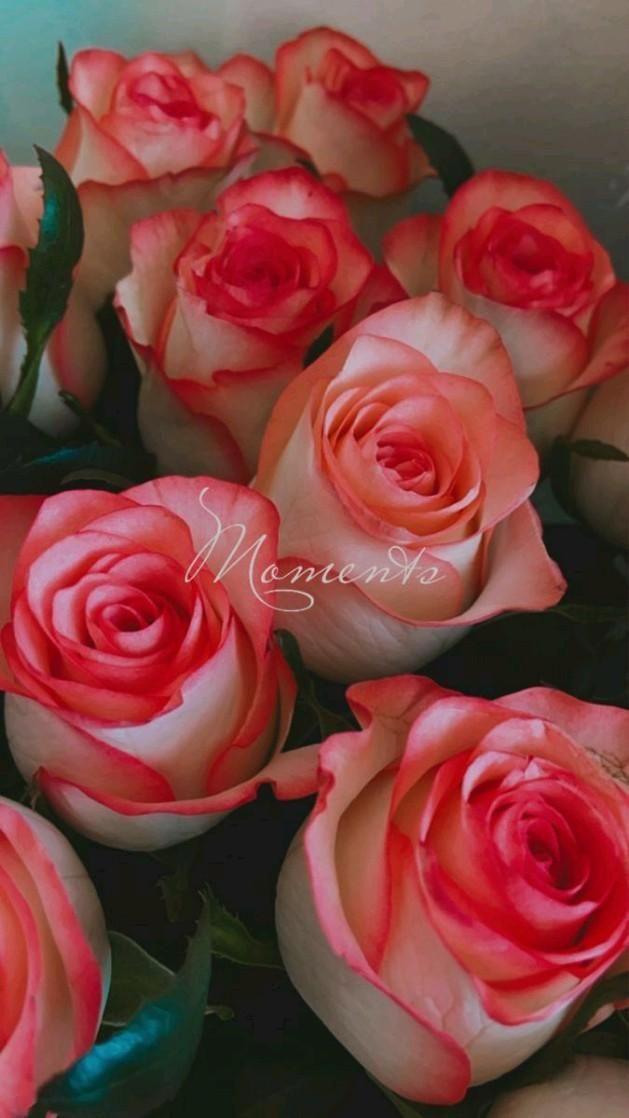 Vintage Petal Charm: Classic Floral Fusion